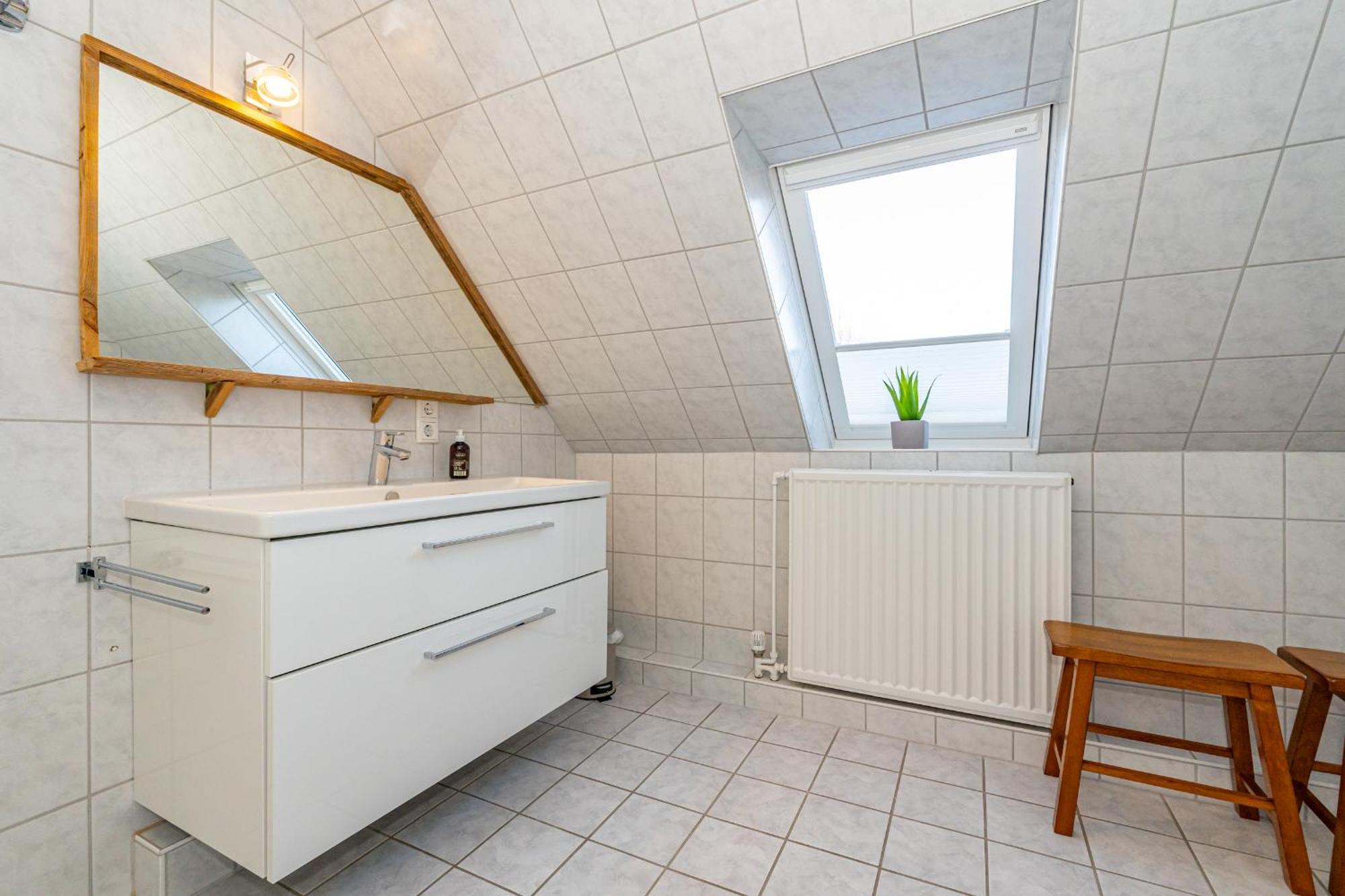 Lachmoewe * Rantum (Sylt)